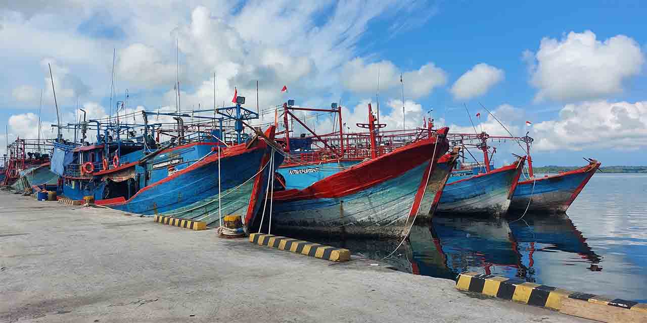 Biarkan-ikan-ikan-itu-terkapar